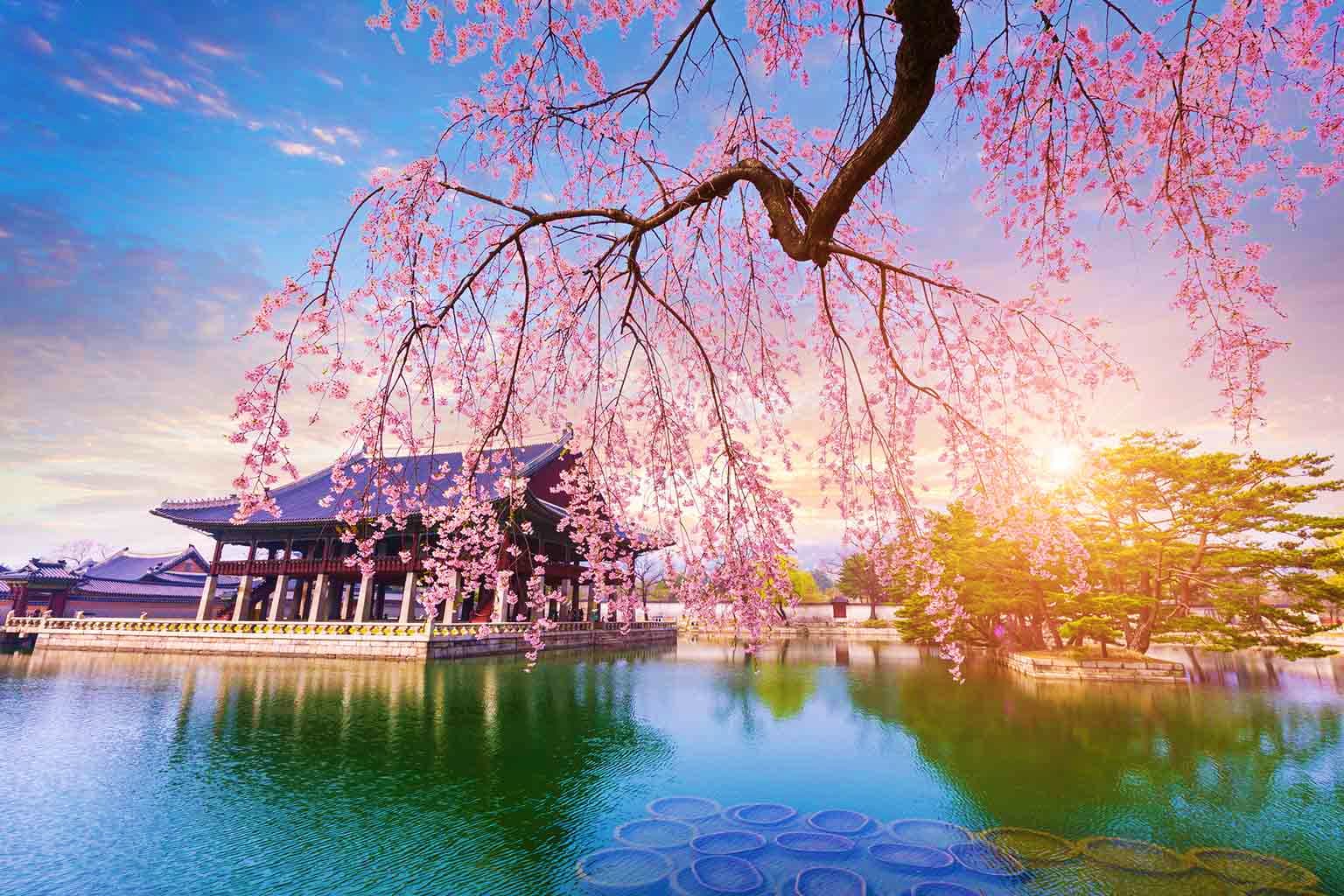 South Korea Visa famous